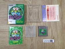 Pokemon Verde Boxato Nintendo