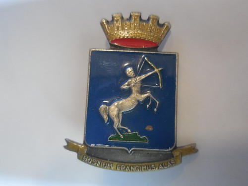 Distintivo reggimento - distintivo, 3