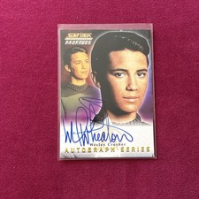 Wil Wheaton as Wesley Crusher