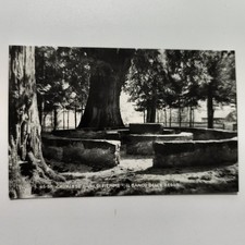 CAVALESE VAL DI FIEMME IL BANCO DELLA RESON VECCHIA CARTOLINA VINTAGE MAI SPEDIT