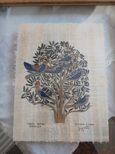 Papiro albero della - papiro,