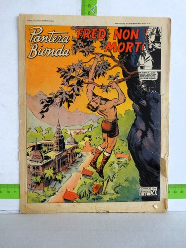 Pantera bionda edizioni - pantera, 71
