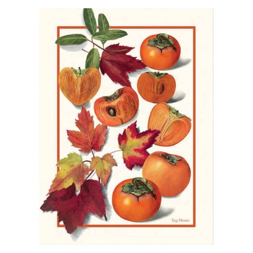 Strofinaccio cotone 58x80 - strofinaccio,