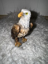 Aquila testa bianca Aquila