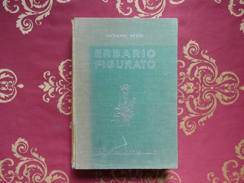 Giovanni negri erbario - giovanni,