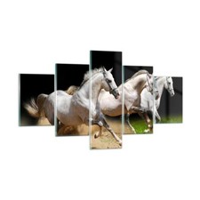 Quadro su Vetro 125x70cm