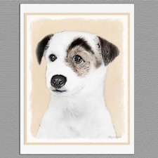 6 Parson Jack Russell Terrier