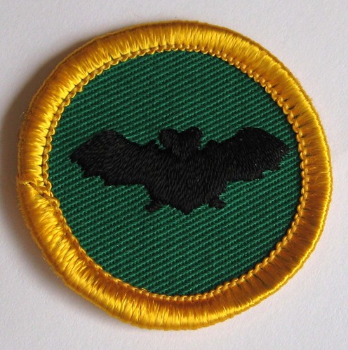 Girl scout junior distintivo - scout,