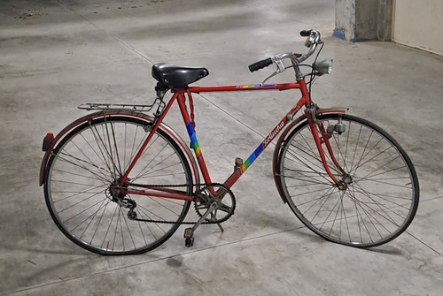 Bicicletta uomo bottecchia - da,