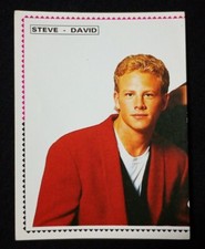 Figurina STEVE DAVID 40 - Panini Beverly Hills 90210 sticker con velina 1991