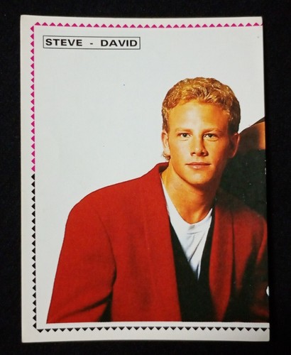 Figurina steve david - steve, 40