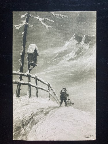 Bertiglia cartolina propaganda - cartolina,