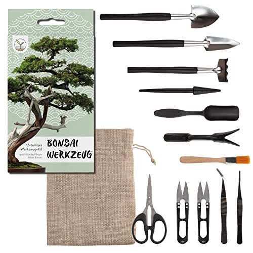 Happy seed kit bonsai attrezzi - seed,