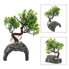  Terrario Tartarughe Grotta