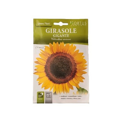 Semi per fiori girasole - semi,