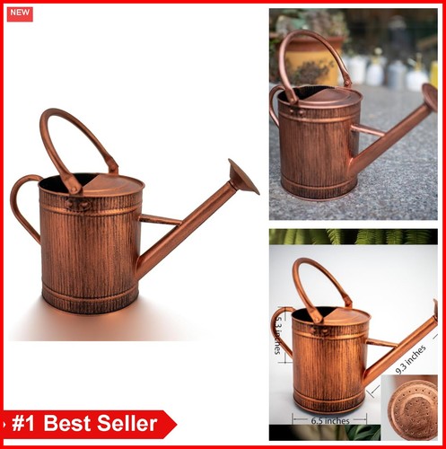 Annaffiatoio gallone metallo - 1,