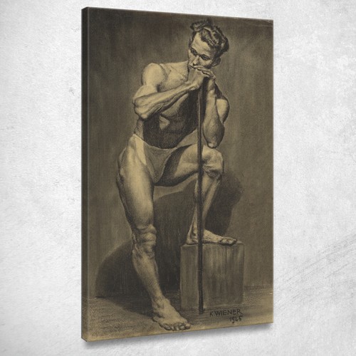 Nudo maschile karl wiener - nudo,