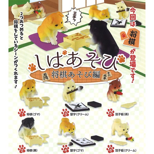 Shiba inu che gioca - che, a