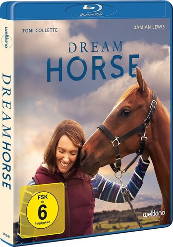 Dream horse - dream,