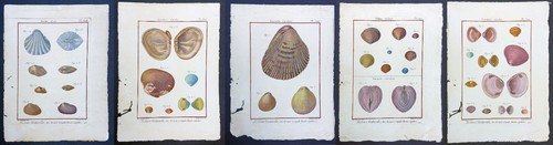 Lotto stampe antiche diderot - lotto,