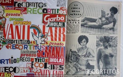 1088 ritagli raffaella carra - d,