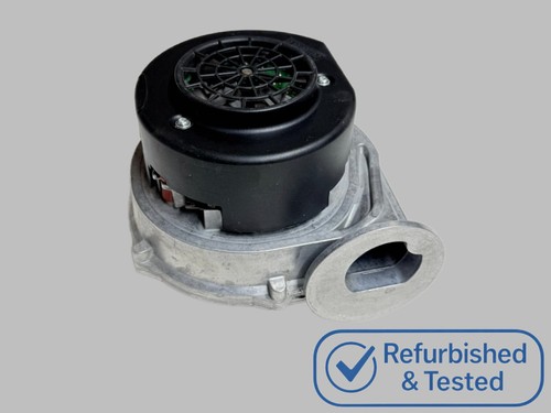 Worcester greenstar junior - worcester,