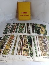 Funghi fratelli fabbri - funghi,
