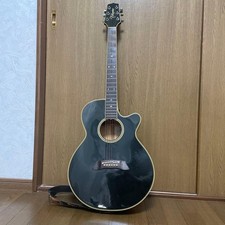 Takamine Takamine NPT-110