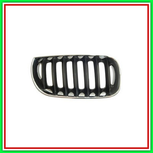 Griglia radiatore destra - griglia,