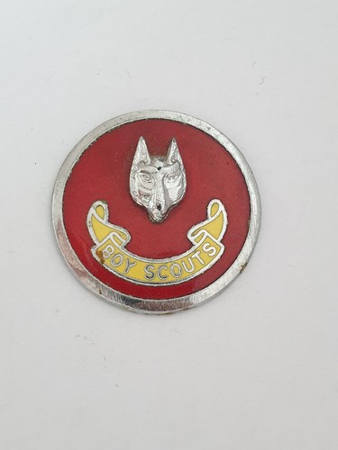 Boy scouts wolf - wolf, cubs
