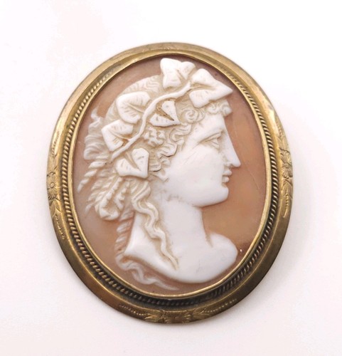 Antica spilla conchiglia