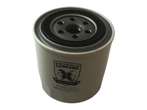 Filtro olio motore kubota - olio,