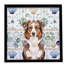 Red Merle Australian Shepherd