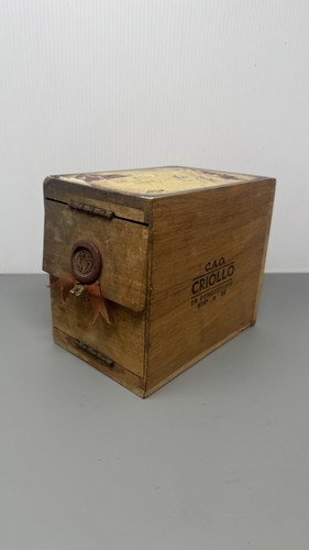 Cao criollo conquistador - criollo,
