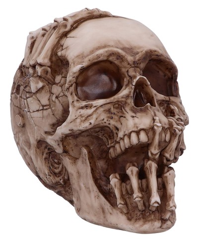 Breaking out skull james - |,