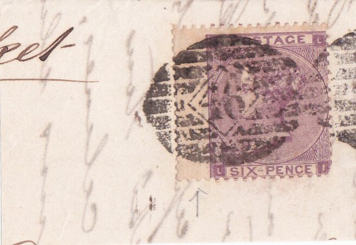 Vittoria violetto 22 - n°,
