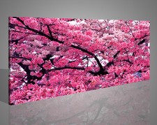 Quadri Moderni Floreali Stampa