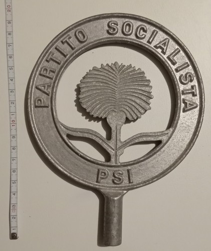 Partito socialista puntale - partito,
