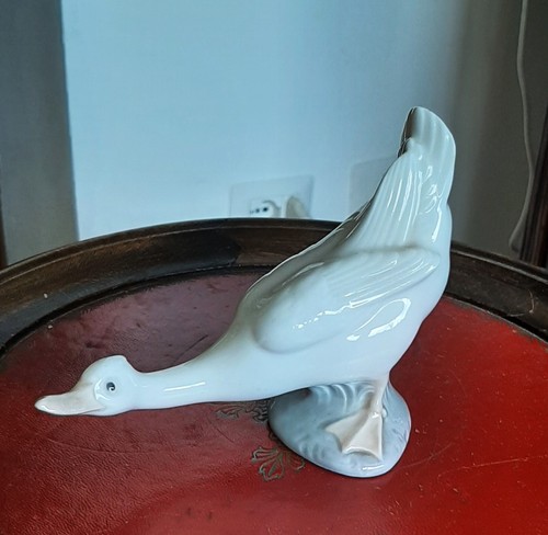 Anatra curiosa nao lladro - ,