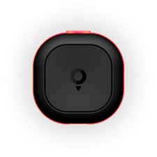 assistente alla guida Tom