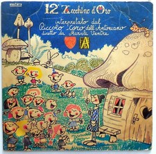 DISCO VINILE 33 GIRI  12