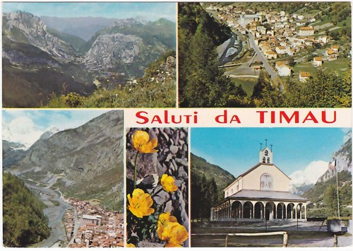 Timau udine saluti - udine,
