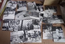 LOTTO 17 VECCHIE FOTO FOTOGRAFIE ROMA SPARITA GIARDINO ZOOLOGICO ZOO