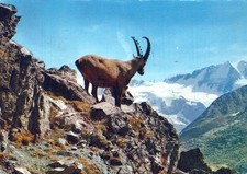 Italia Specificato Alpi