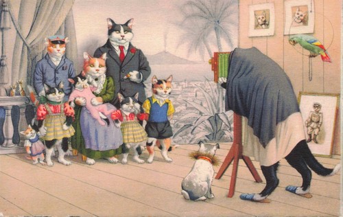Gatti vestiti famiglia