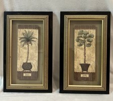 Botanical LICUALA & PHOENIX di