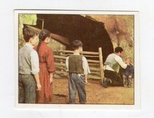 figurina - PANINI PINOCCHIO