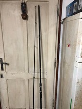 canne da pesca Carp Pro team Carpfishing 