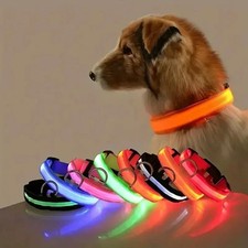 Collare LED Guinzaglio Cane