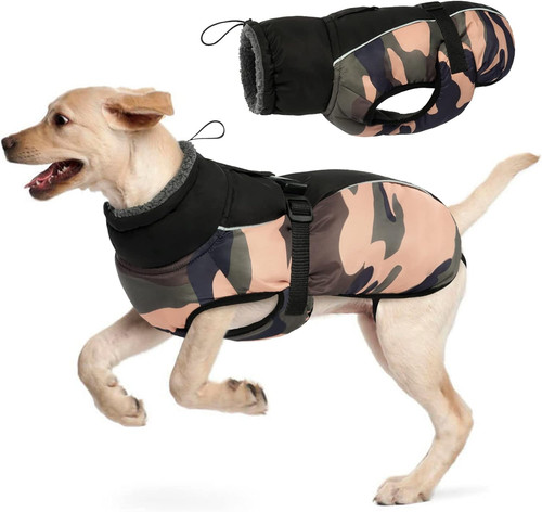 Cappotto per cani impermeabile - cappotto,